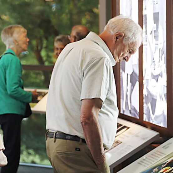 Elderly couple looking at museum exhibit